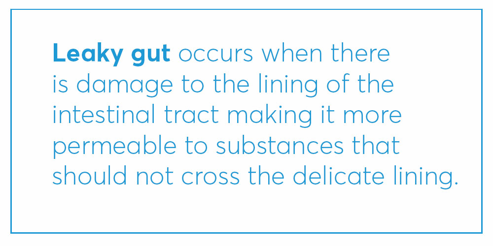 definition of leaky gut (explained)